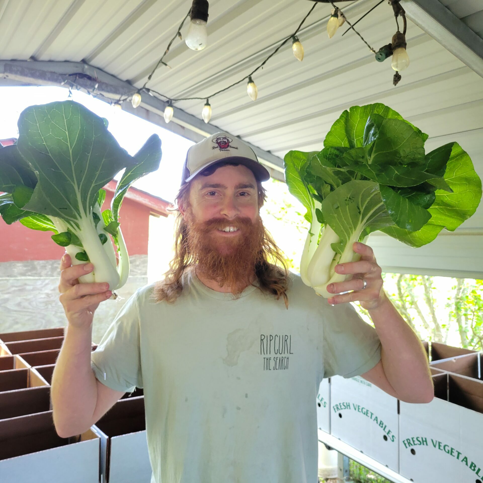 Morgan Milne, Red Beard Farm